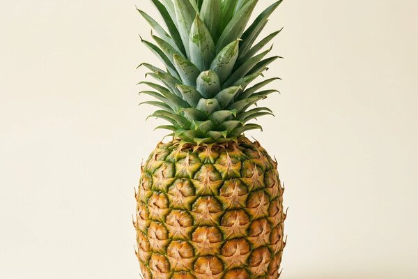 Ananas