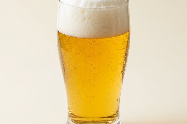 Bier