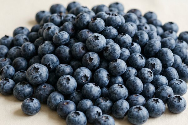 Blauwe bessen