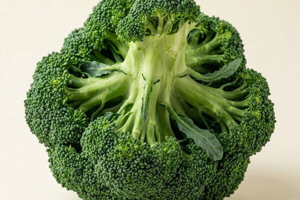 Broccoli