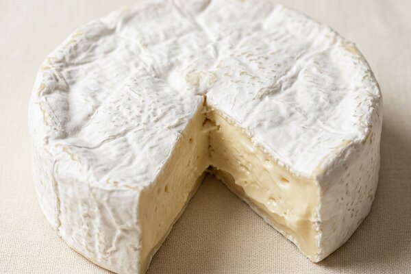 Camembert