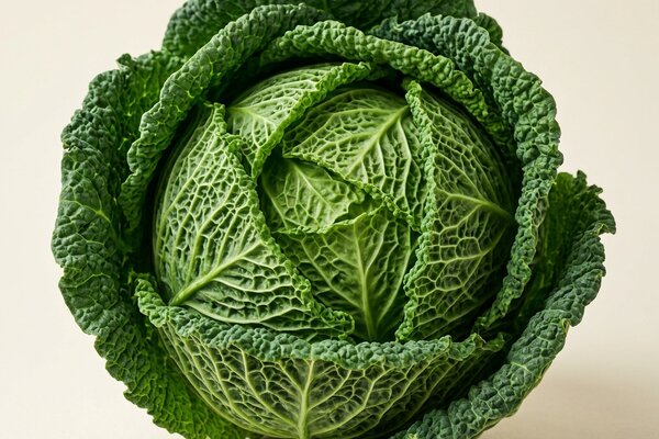 Groene kool