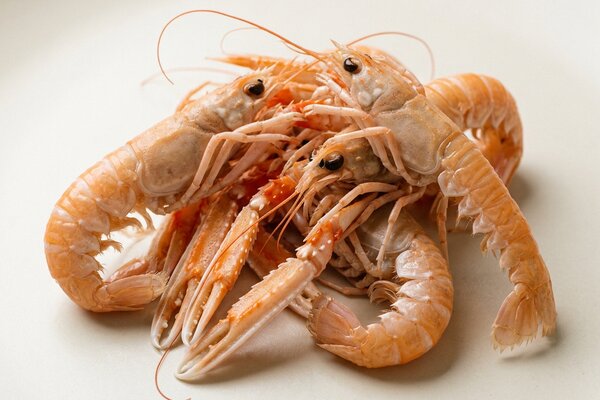 Langoustine