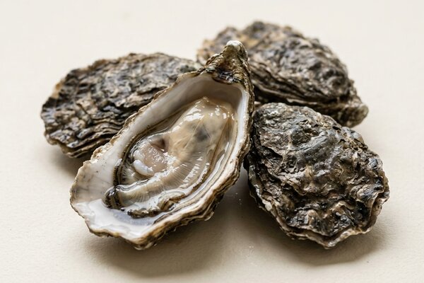 Oesters