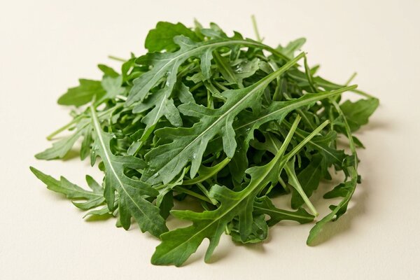Rucola