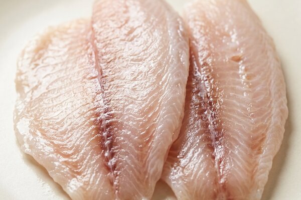 Tilapia